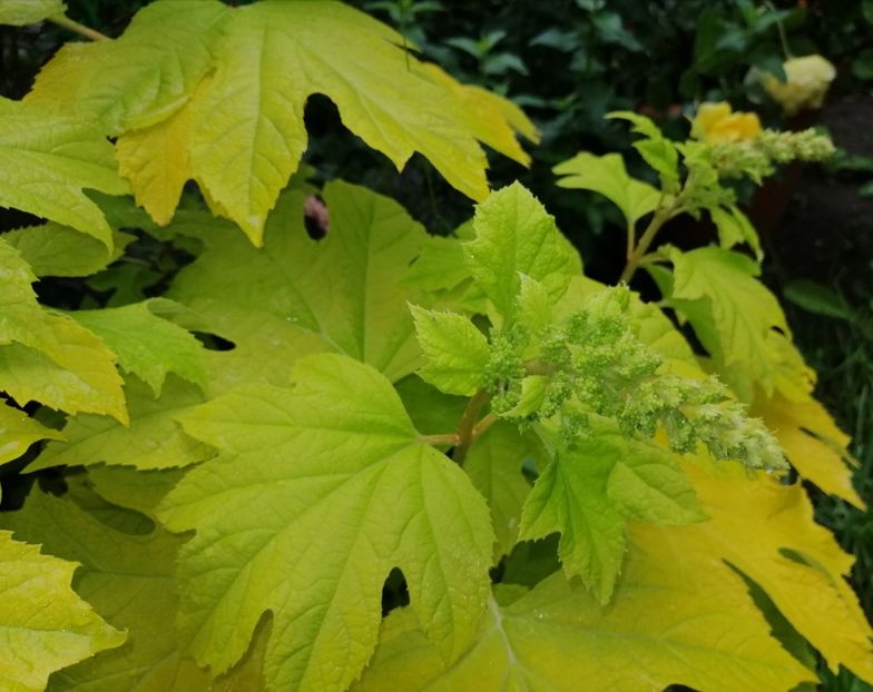  - 2021 feb martie aprilie mai