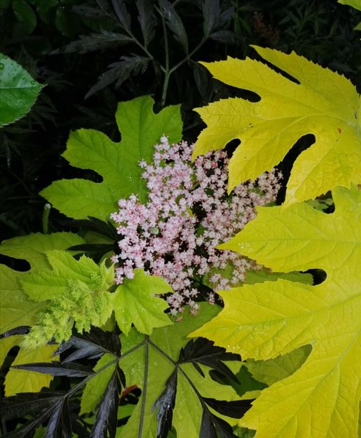  - 2021 feb martie aprilie mai