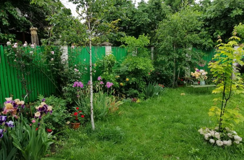  - 2021 feb martie aprilie mai