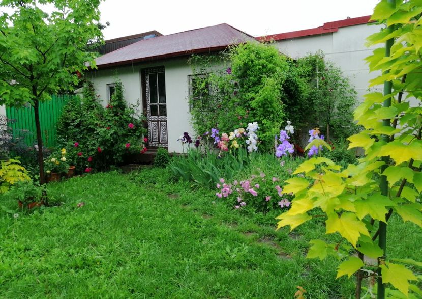  - 2021 feb martie aprilie mai