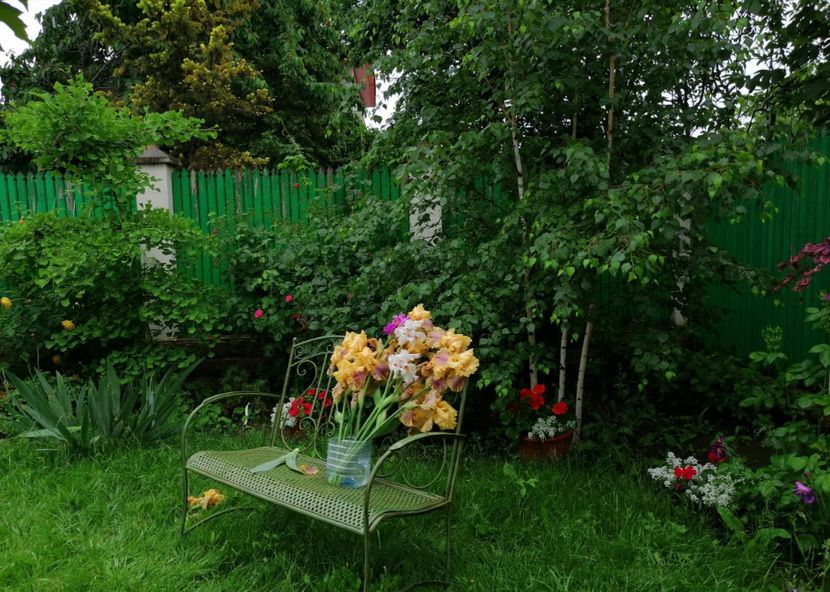  - 2021 feb martie aprilie mai