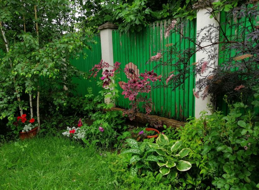  - 2021 feb martie aprilie mai