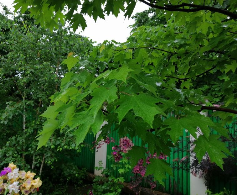  - 2021 feb martie aprilie mai