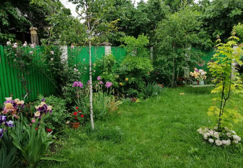  - 2021 feb martie aprilie mai