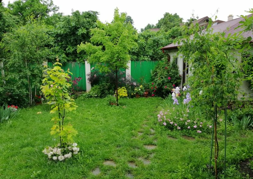  - 2021 feb martie aprilie mai