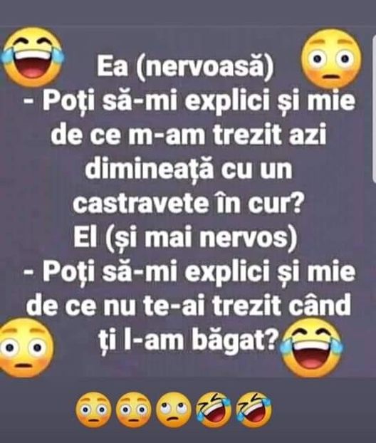  - Divertisment 4