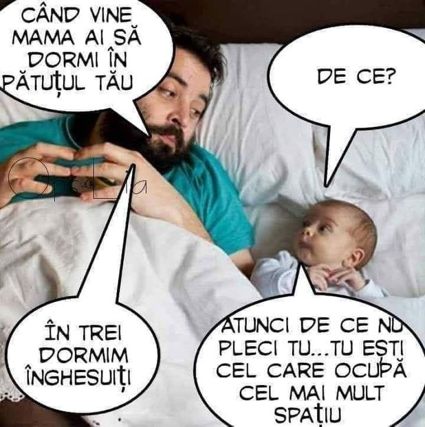  - Divertisment 4