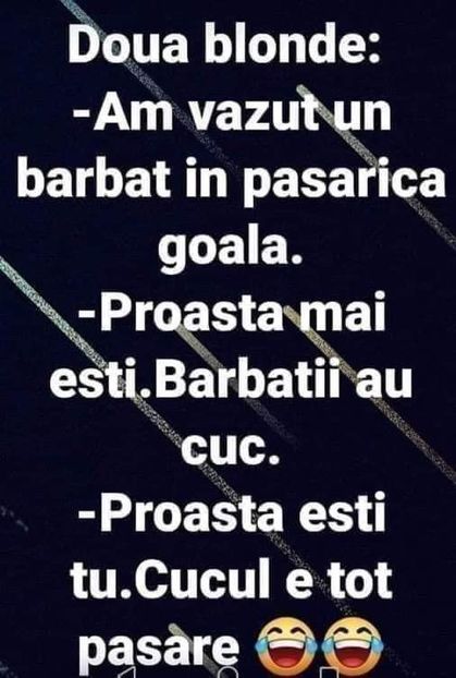  - Divertisment 4