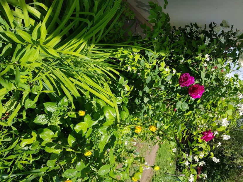  - Vara la baltă 2021