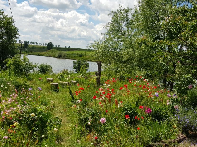  - Vara la baltă 2021