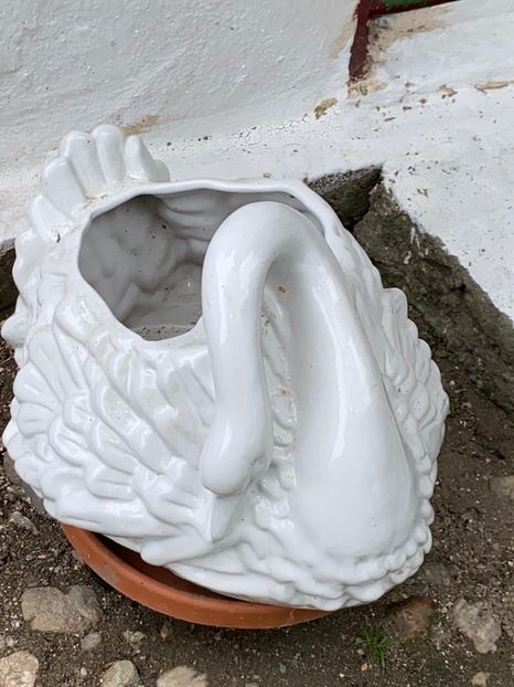 09C10B67-BEAE-4676-8016-711034DA927B - De prin gradina