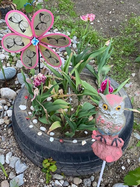 5BDB0942-6856-4F0F-843F-D5BAFCEA7C76 - De prin gradina