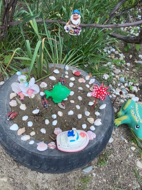 6284880A-D21B-4EA3-8986-5B080D78BB99 - De prin gradina