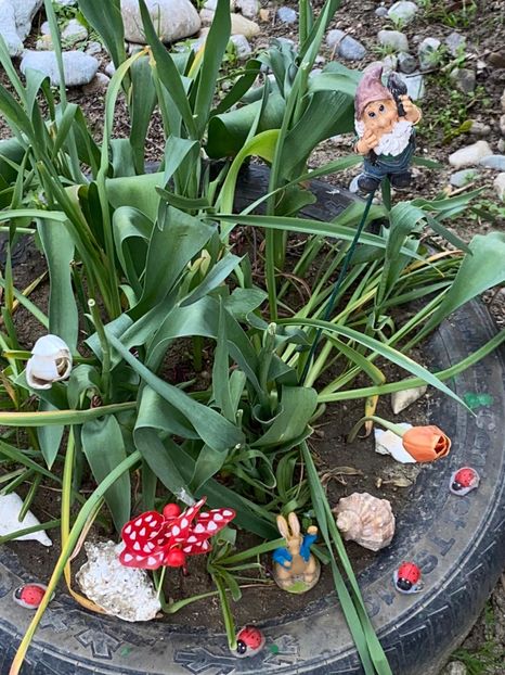 01C81671-217B-4310-95A9-92297FD3E65D - De prin gradina