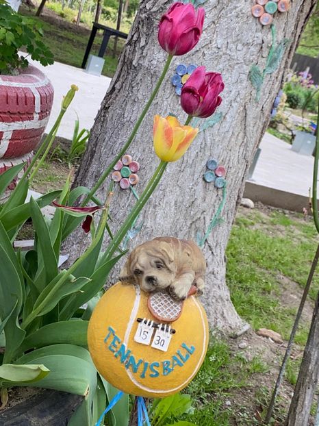 D24FE51A-542A-4CF1-8242-EB1B4EECEB58 - Lalele