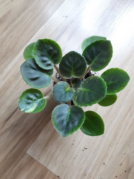  - NK-Neznakomaya Zvezda