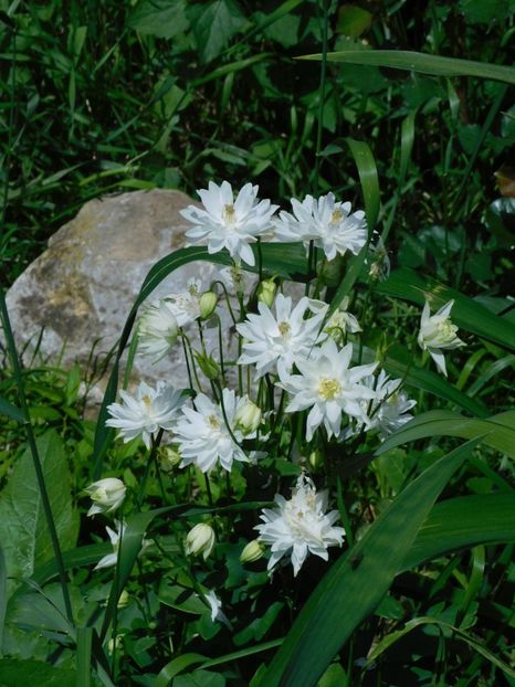  - 0Gradina 2021