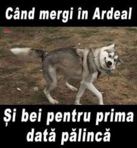  - Bancuri cu Ardeleni