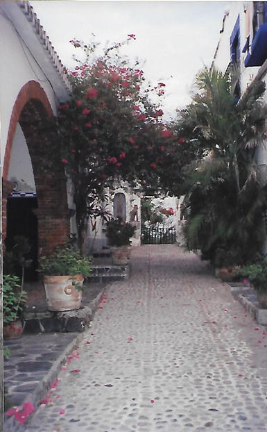 Hacienda Vista Hermosa - Mexic