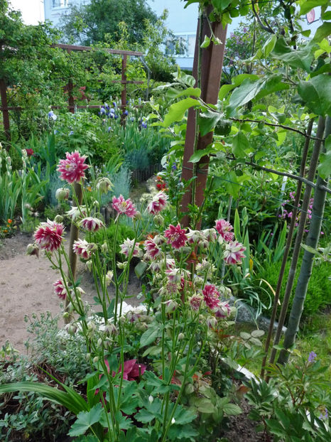  - 2021 - 01 - Primavara