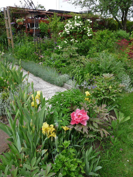  - 2021 - 01 - Primavara