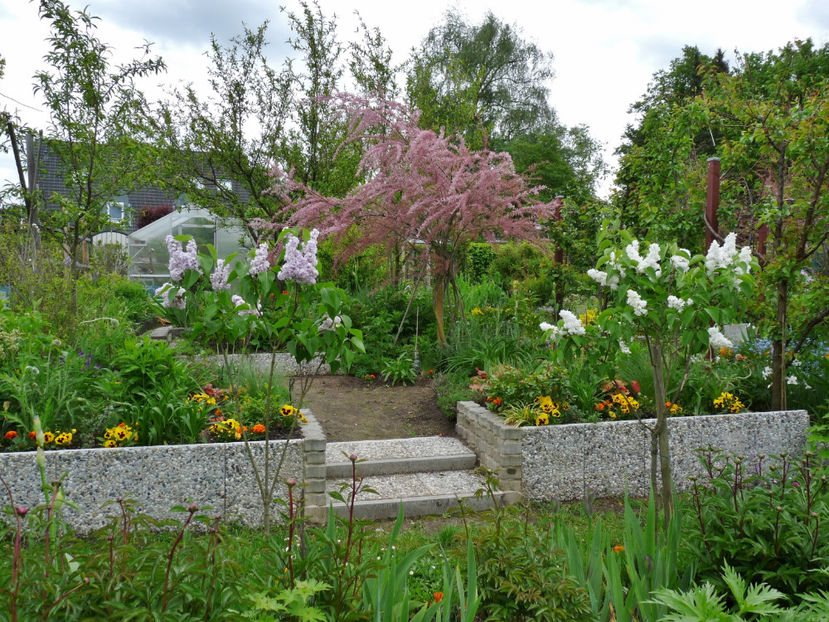  - 2021 - 01 - Primavara