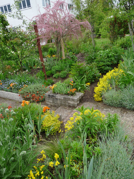  - 2021 - 01 - Primavara