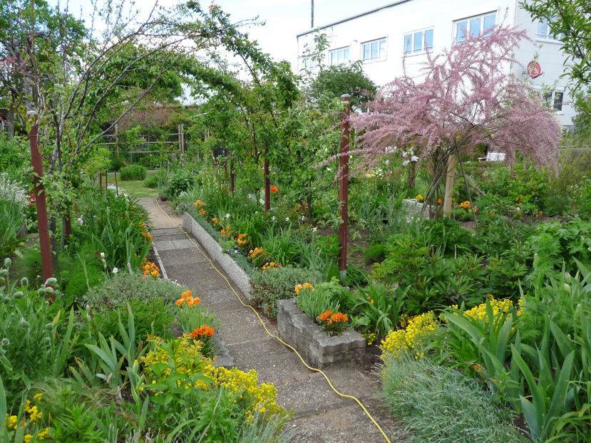  - 2021 - 01 - Primavara