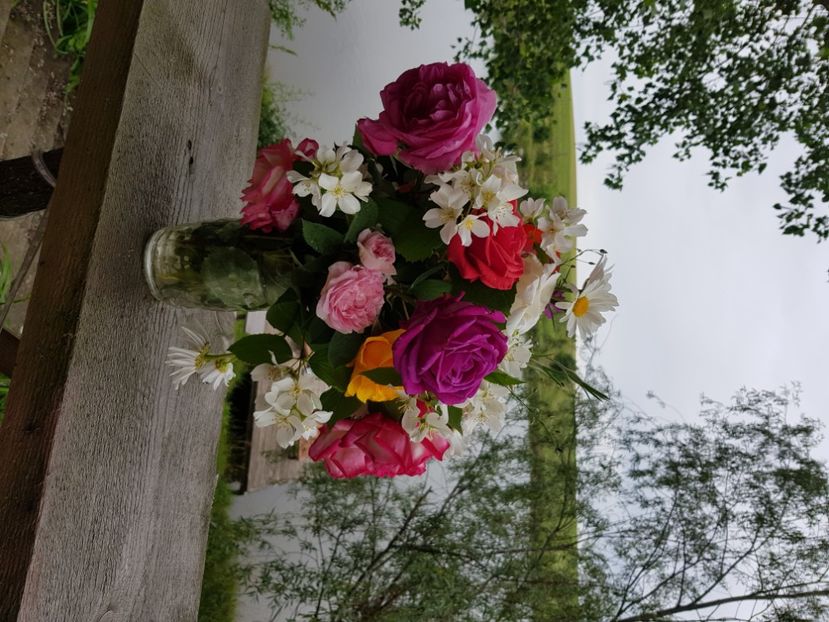  - Trandafiri la baltă 2021