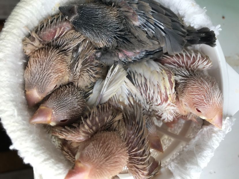 Crestemmmm....4.06.2021 - 2021 Fotografii