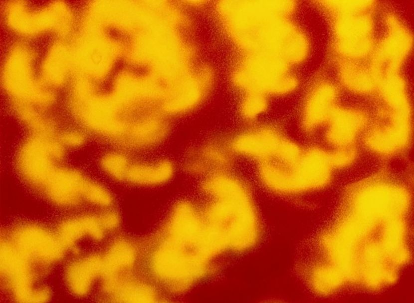 Looney Tunes - Looney Tunes Part 8