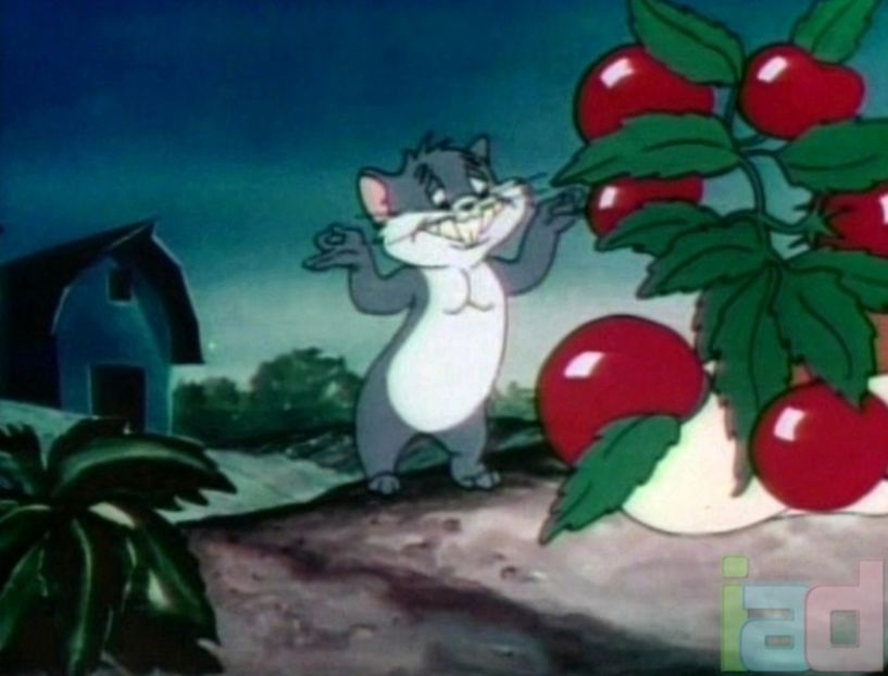 Looney Tunes - Looney Tunes Part 9
