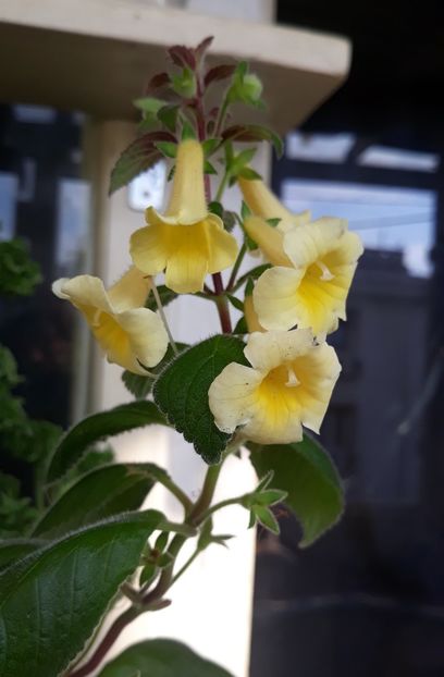  - 0001 2022 - MM s Andul