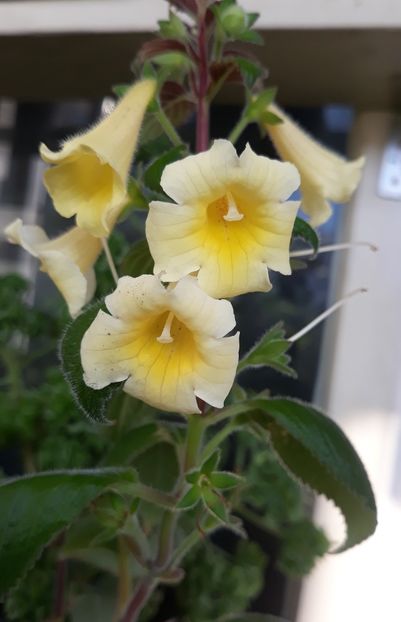  - 0001 2022 - MM s Andul