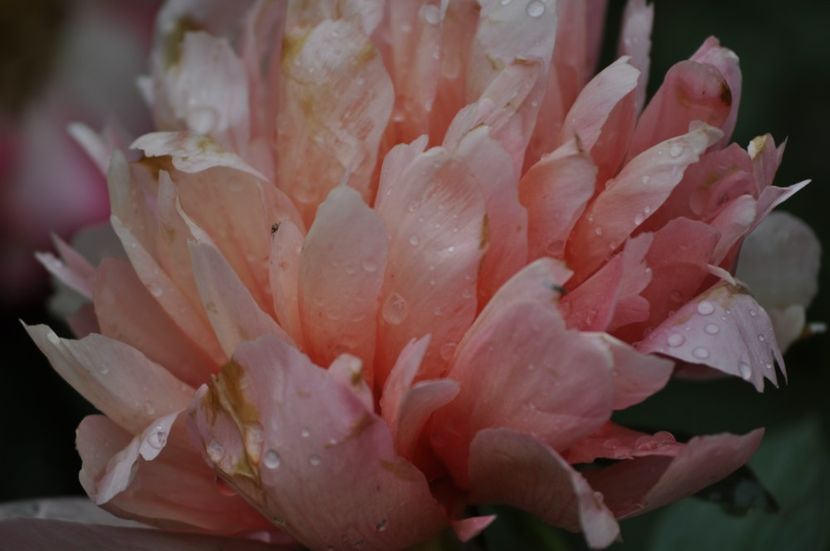 _DSC0151 - VARA 2021