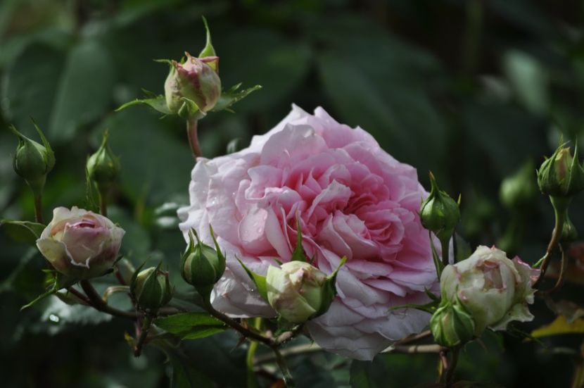 _DSC0314 - VARA 2021