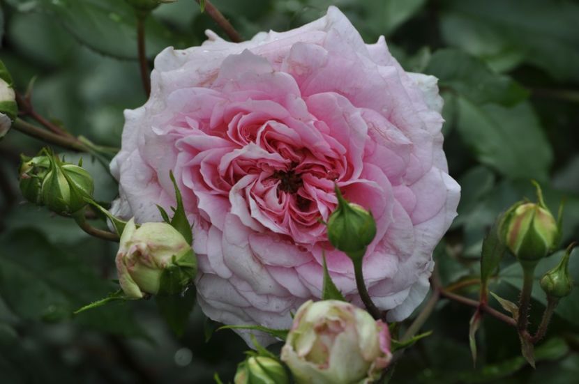 _DSC0325 - VARA 2021