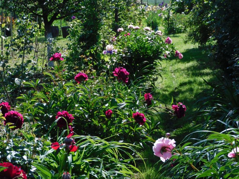  - 0Gradina 2021