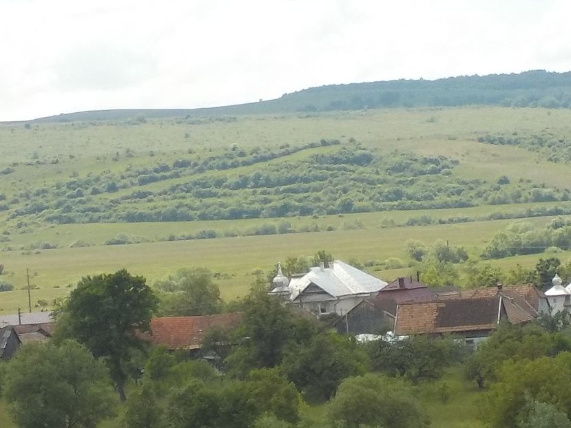  - Natura cu frumusetile ei