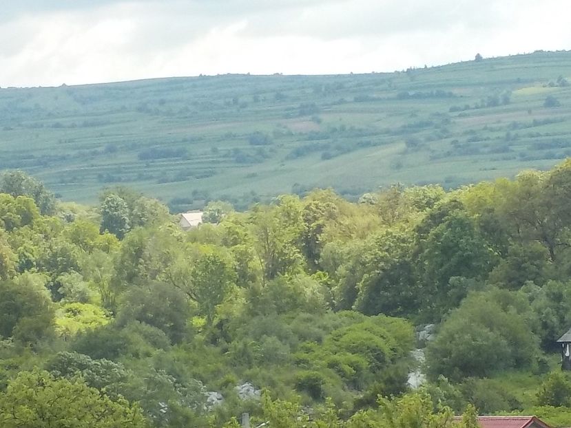  - Natura cu frumusetile ei
