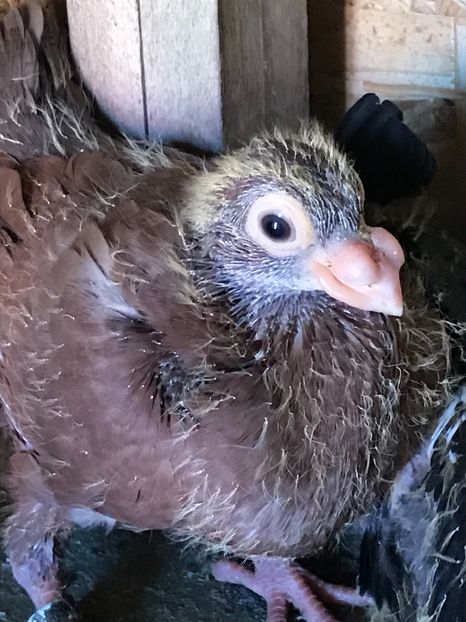 E7957603-6DEC-4919-9E4A-7A9D18BEC7A3 - Tineret 2021