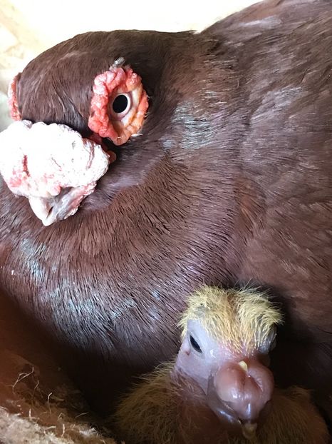 49B22E16-2339-49CB-A556-5475689986F6 - Tineret 2021