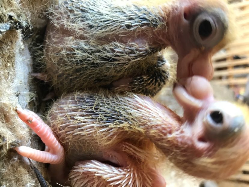 6C3276F6-A645-4417-9F36-EF601EF2BAE3 - Tineret 2021