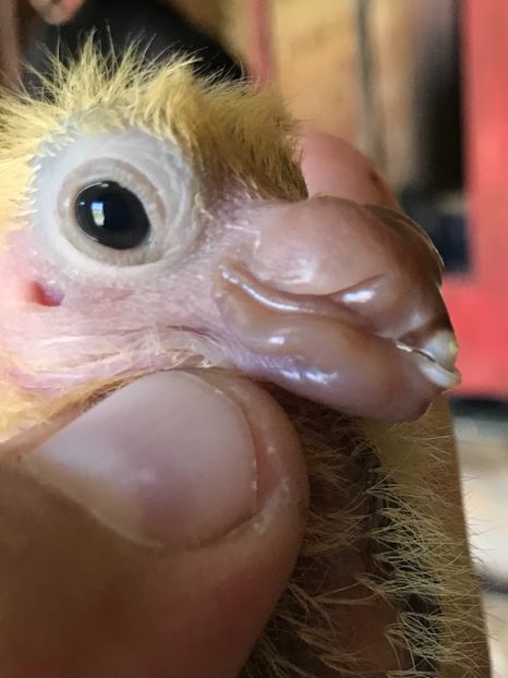 FBDB03FB-049F-453D-A6B4-2E37A6F04150 - Tineret 2021