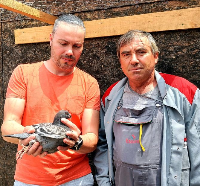  - 1--- AGH Contact 0766614616