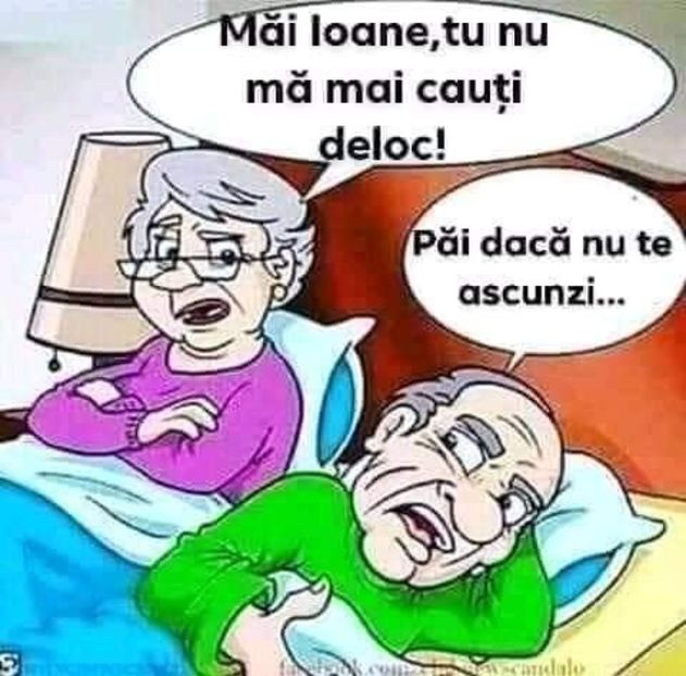  - Divertisment 4