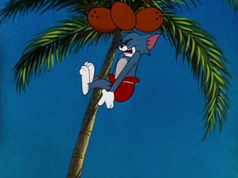 Tom si Jerry - Tom si Jerry Part 3