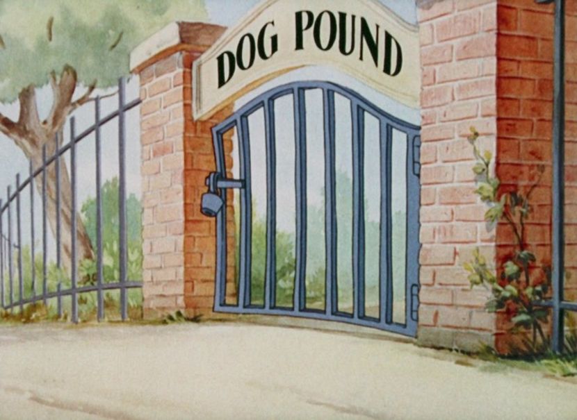 Tom si Jerry - Tom si Jerry Part 4