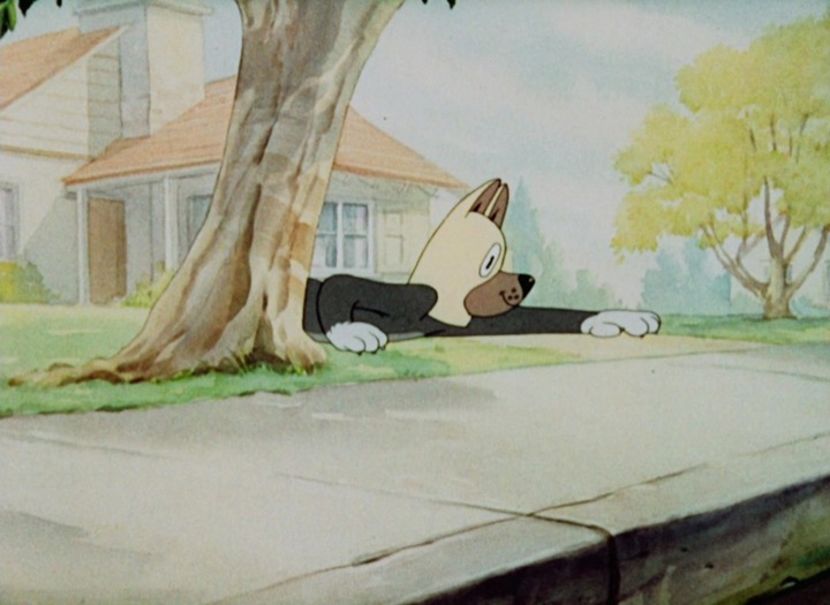 Tom si Jerry - Tom si Jerry Part 4