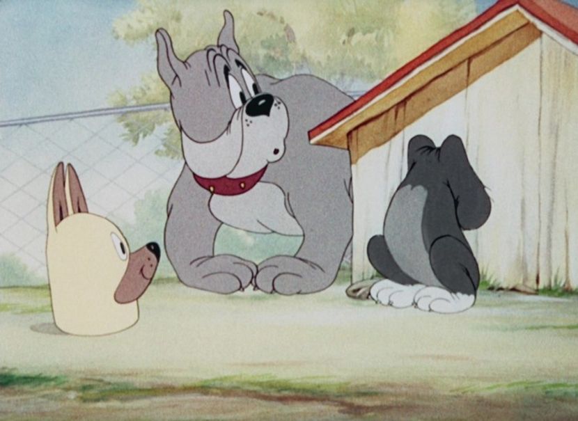 Tom si Jerry - Tom si Jerry Part 4